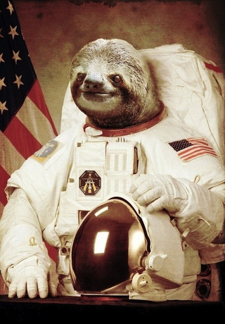 Illustration for article titled Sloths, The Grandest Creature of All, Are Finally In Animal Crossing